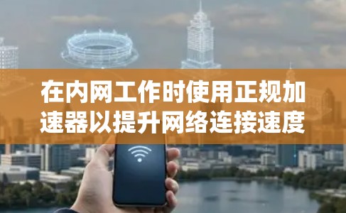 在内网工作时使用正规加速器以提升网络连接速度和网站加载效率，以下是系统化的指导