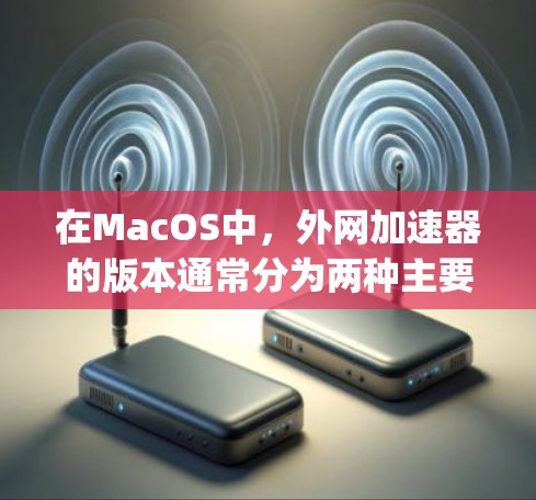 在MacOS中，外网加速器的版本通常分为两种主要类型，Netty版本和Bee版本。以下是这两种版本的详细介绍