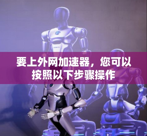 要上外网加速器，您可以按照以下步骤操作