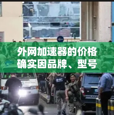 外网加速器的价格确实因品牌、型号、功能需求和使用频率而异。以下是一些通用的建议