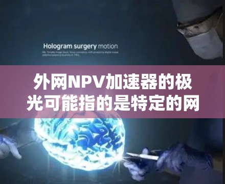 外网NPV加速器的极光可能指的是特定的网络环境或工具，具体取决于你使用的具体平台和需求。以下是一些常见的NPV计算工具及其是否适用于外网环境