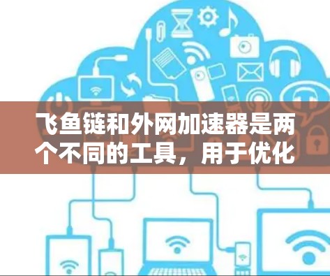 飞鱼链和外网加速器是两个不同的工具，用于优化网页加载速度和提升网络性能。以下是对这两个工具的详细介绍
