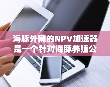 海豚外网的NPV加速器是一个针对海豚养殖公司的项目,旨在通过优化运营、提升市场竞争力、降低成本等方式来提升项目的经济可行性。以下是详细的分析