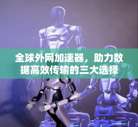 全球外网加速器,助力数据高效传输的三大选择