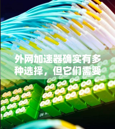 外网加速器确实有多种选择,但它们需要符合一定的要求,以确保安全性和可用性。以下是一些常见的外网加速器及其适用场景