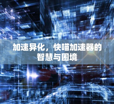 加速异化，快喵加速器的智慧与困境