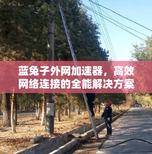 蓝兔子外网加速器,高效网络连接的全能解决方案