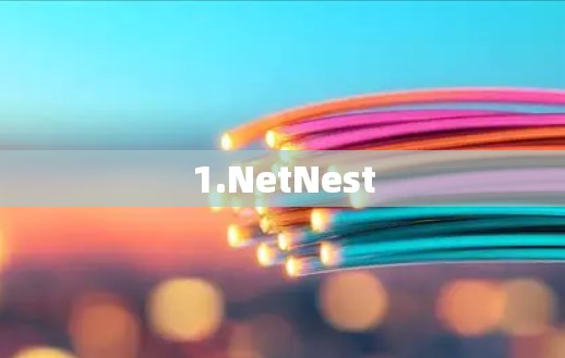 1.NetNest