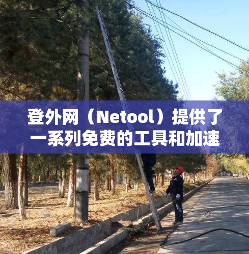 登外网（Netool）提供了一系列免费的工具和加速器，其中包括下载工具、应用商店加速器、网络工具等。以下是一些可能的免费工具和加速器推荐，供您参考