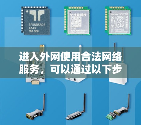 进入外网使用合法网络服务，可以通过以下步骤实现