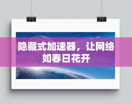隐藏式加速器，让网络如春日花开
