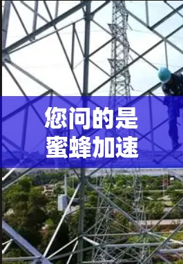 您问的是蜜蜂加速器上外网免费，这可能涉及到您是否可以在特定的网站或平台免费使用蜜蜂加速器工具。以下是一些可能的解释和建议