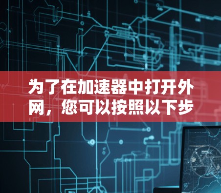 为了在加速器中打开外网，您可以按照以下步骤操作