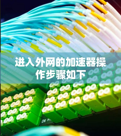进入外网的加速器操作步骤如下