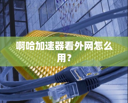 啊哈加速器看外网怎么用？