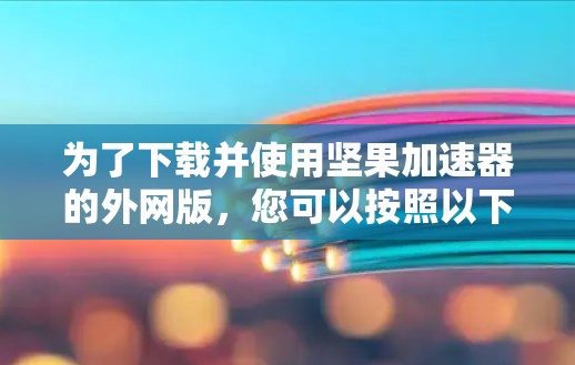 为了下载并使用坚果加速器的外网版,您可以按照以下步骤操作