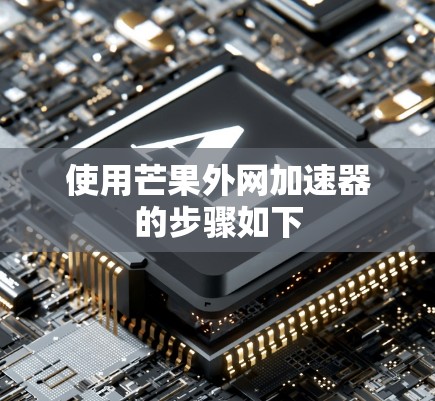 使用芒果外网加速器的步骤如下