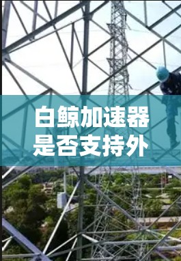 白鲸加速器是否支持外网?