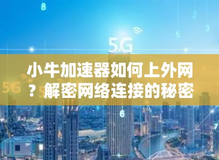 小牛加速器如何上外网?解密网络连接的秘密