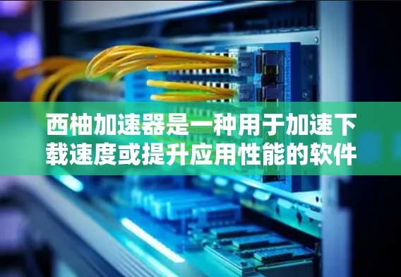 西柚加速器是一种用于加速下载速度或提升应用性能的软件或工具,通常指某个特定的加速应用。以下是对西柚加速器的详细解答