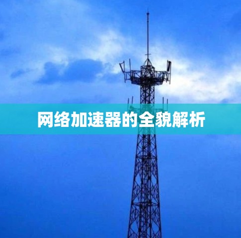 网络加速器的全貌解析