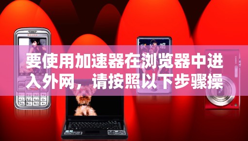 要使用加速器在浏览器中进入外网，请按照以下步骤操作