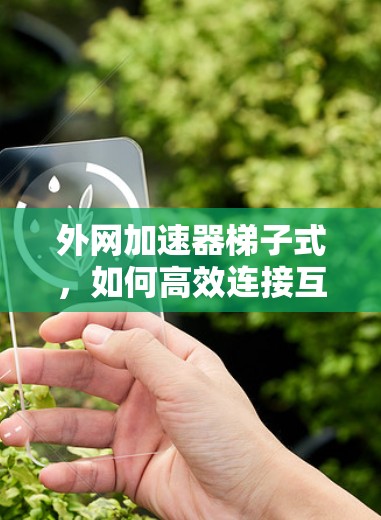 外网加速器梯子式，如何高效连接互联网，轻松应对网络问题