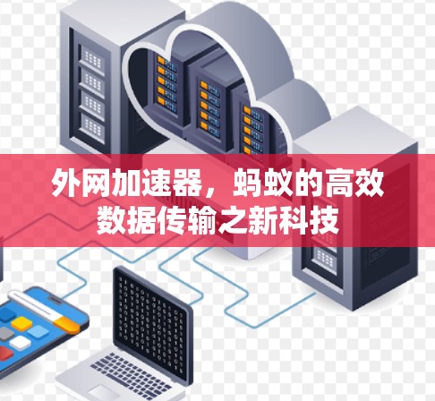 外网加速器，蚂蚁的高效数据传输之新科技
