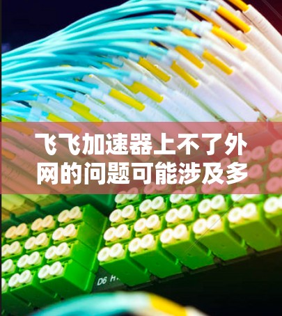 飞飞加速器上不了外网的问题可能涉及多个因素，包括设置错误、网络环境、硬件配置、软件包限制等。以下是一些可能的原因和解决方法