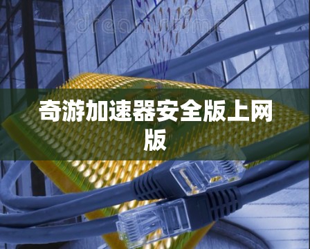 奇游加速器安全版上网版
