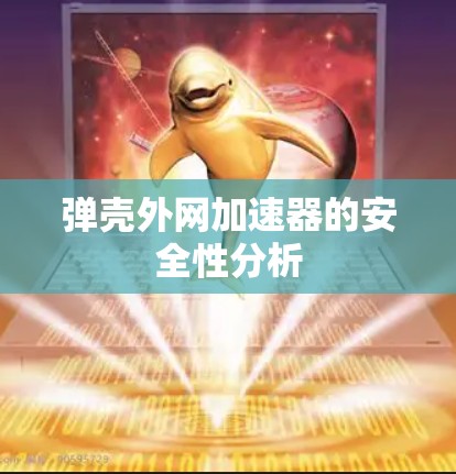 弹壳外网加速器的安全性分析