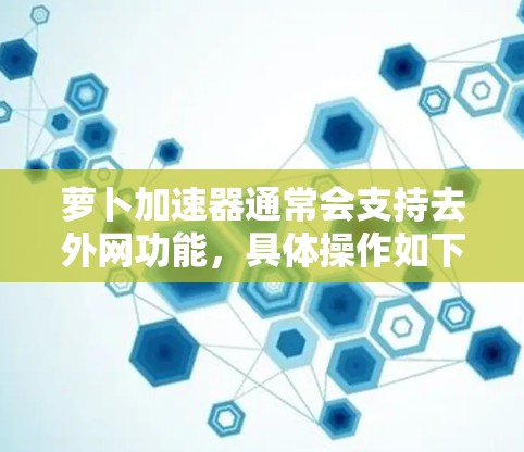 萝卜加速器通常会支持去外网功能，具体操作如下