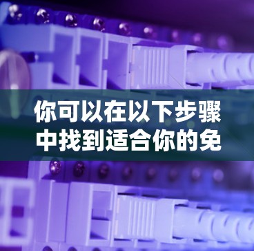 你可以在以下步骤中找到适合你的免费外网加速器