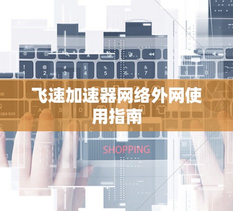 飞速加速器网络外网使用指南