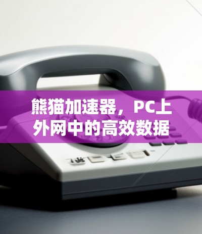 熊猫加速器，PC上外网中的高效数据传输解决方案