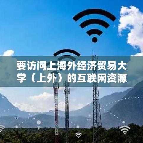 要访问上海外经济贸易大学（上外）的互联网资源，您可以按照以下步骤进行