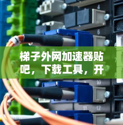 梯子外网加速器贴吧,下载工具,开启你的加速之旅!