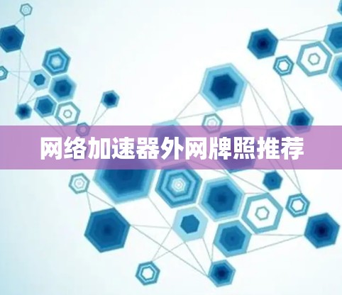 网络加速器外网牌照推荐