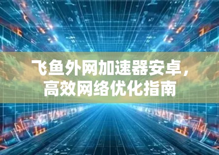 飞鱼外网加速器安卓,高效网络优化指南