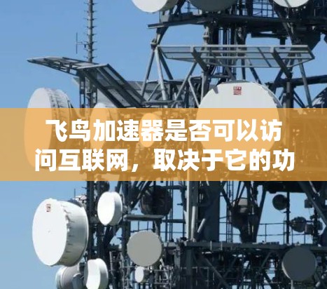 飞鸟加速器是否可以访问互联网,取决于它的功能和用途。以下是一些关键点进行总结