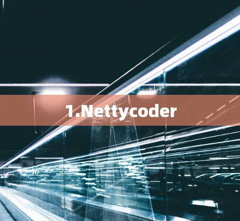 1.Nettycoder