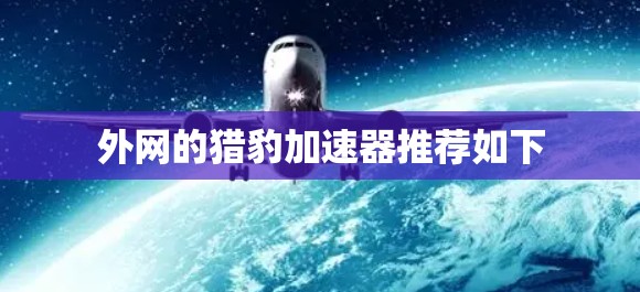 外网的猎豹加速器推荐如下