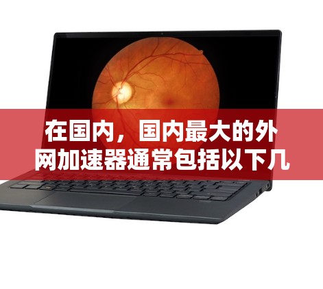 在国内，国内最大的外网加速器通常包括以下几种