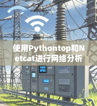 使用Pythontop和Netcat进行网络分析和数据处理是一项充满挑战的任务，但通过不断的学习和实践，我逐步掌握了这一技术。以下是逐步的解决方案
