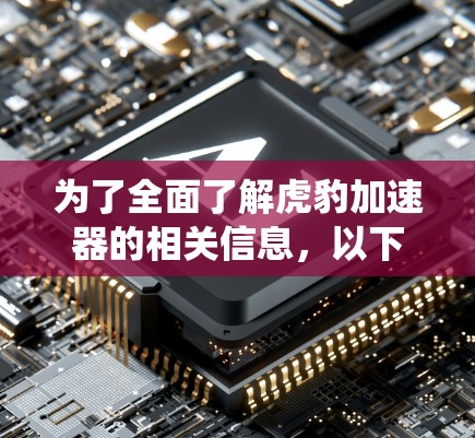 为了全面了解虎豹加速器的相关信息,以下是系统性的搜索策略