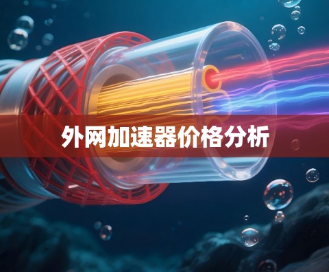 外网加速器价格分析