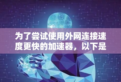 为了尝试使用外网连接速度更快的加速器,以下是一步步的建议