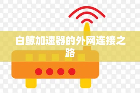 白鲸加速器的外网连接之路