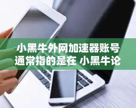 小黑牛外网加速器账号通常指的是在 小黑牛论坛 上注册或登录的外网加速器账号。小黑牛是一个知名的论坛,用户可以在该论坛上进行各种网络加速器的测试和下载。以下是一些获取或注册外网加速器账号的步骤