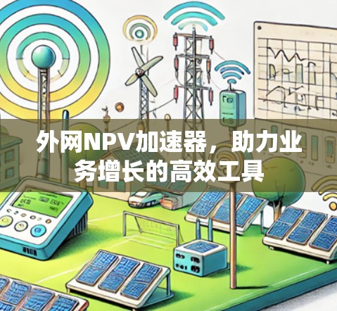 外网NPV加速器，助力业务增长的高效工具